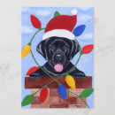 Recherche de chiot labrador invitations Laboratoire noir