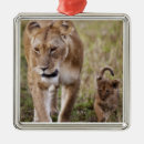 Search for african safari ornaments Nature