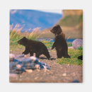 Search for depth of field magnets North america