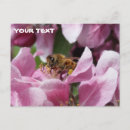 Search for pollinator postcards Wings