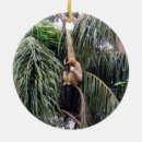 Search for monkey around home living Primate