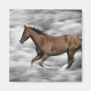 Recherche de brouillé magnets Animal