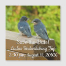 Search for swallow invitations Nature