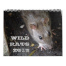 Search for rat calendars Nature