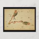 Search for astrological chart postcards Constellation