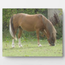 Search for horse plaques Brown