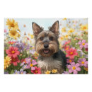Recherche de scooter posters Fleurs