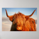 Recherche de écossais posters Hautes terres