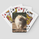 Recherche de spitz jeux de cartes Halètement