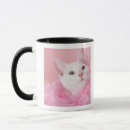 Recherche de boa tasses Mignon