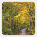 Search for gravel stickers Forest