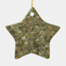 Search for under water ornaments Ocean