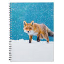 Search for fox notebooks Wildlife