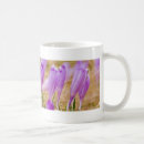 Search for crocus mugs Green