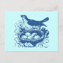Search for bird eggs postcards Birds