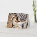 Search for eagle owl cards Owls