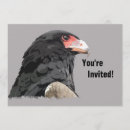 Recherche de raptor invitations Aigle