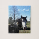 Recherche de poney blanc puzzles Chevaux
