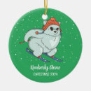 Search for foxes ornaments Arctic fox