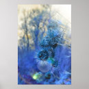 Recherche de chardon posters Nature