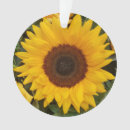 Search for photography ornaments Flowers