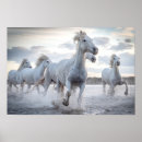 Search for white horses posters Photograph