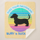 Recherche de dachshund socks Animal