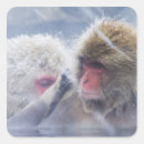 Search for head and shoulders stickers Wildlife