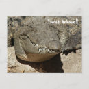 Search for tourist postcards Mexico