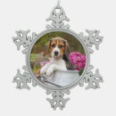 Search for beagle ornaments Puppy