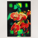 Recherche de orchid puzzles Flowers