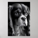 Search for cavalier posters Pet