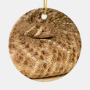 Recherche de animaux de zoo ornements Animal