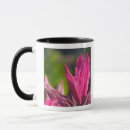 Search for island paradise mugs Caribbean
