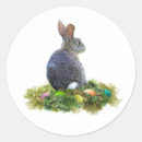Search for cottontail rabbit stickers Easter