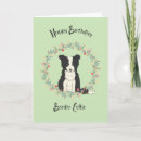 Recherche de border collie birthday cards Anniversaire