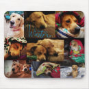 Search for everyones mousepads Cute