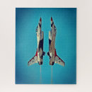 Search for thunderbird puzzles Flying