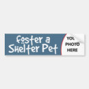 Search for foster bumper stickers Dog