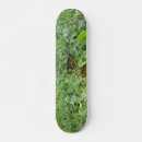Search for monarch skateboards Butterfly