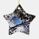 Search for branches ornaments Photography