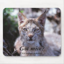 Search for lynx mousepads Kitten