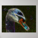 Search for swan posters Animal