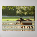 Recherche de un cheval art Photographie