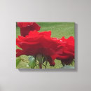 Search for red rose canvas prints Blossom