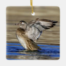 Search for wood duck ornaments Nature