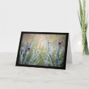 Search for thistle plant cards Nature