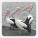 Search for sea bird stickers Animal