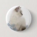 Recherche de lynx badges Chat