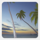 Search for fiji islands stickers David